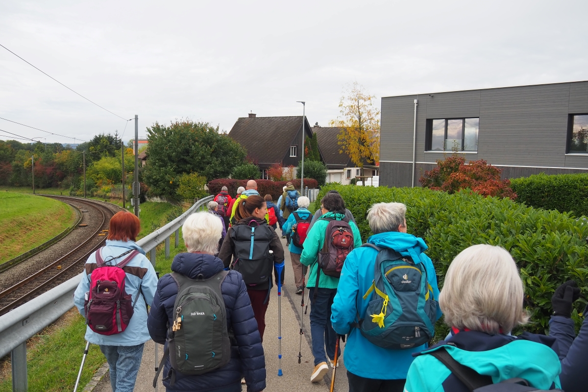 eine Gruppe von Senioren wandert in einem Quartier